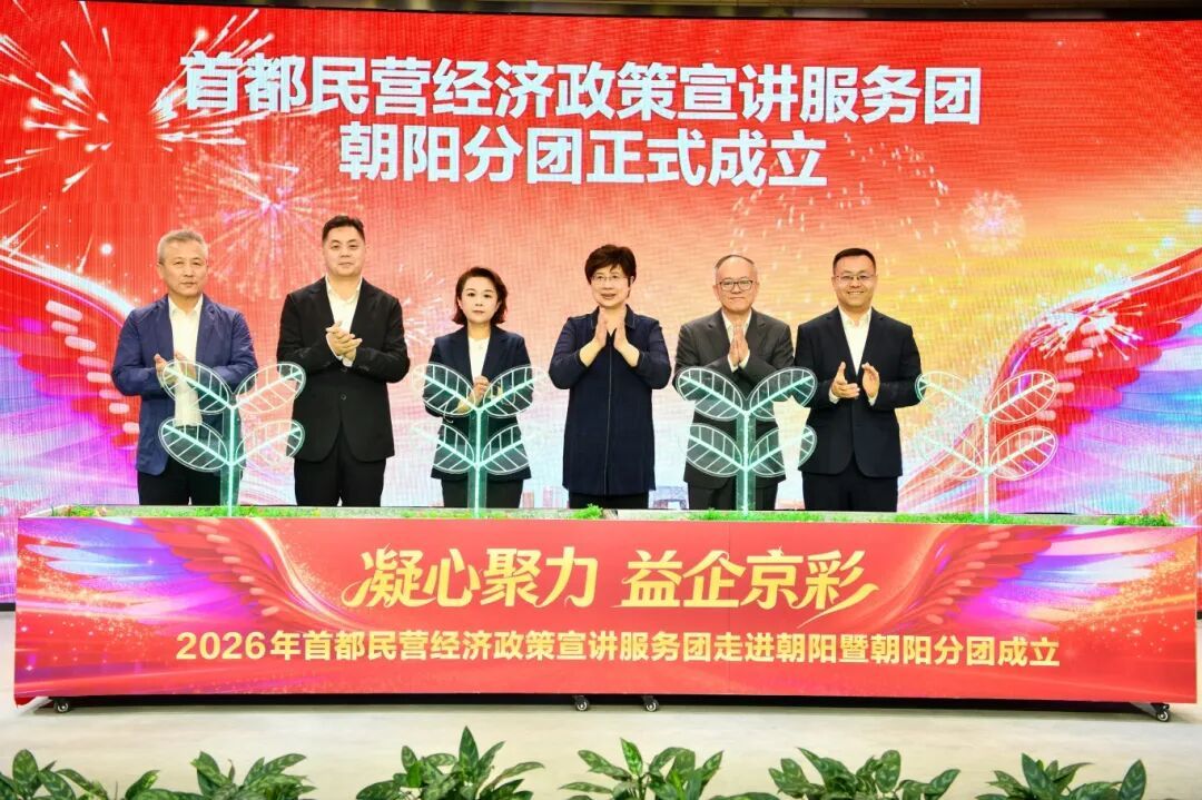 朝阳分团成立！首都民营经济迎来这波“真金白银”的支持