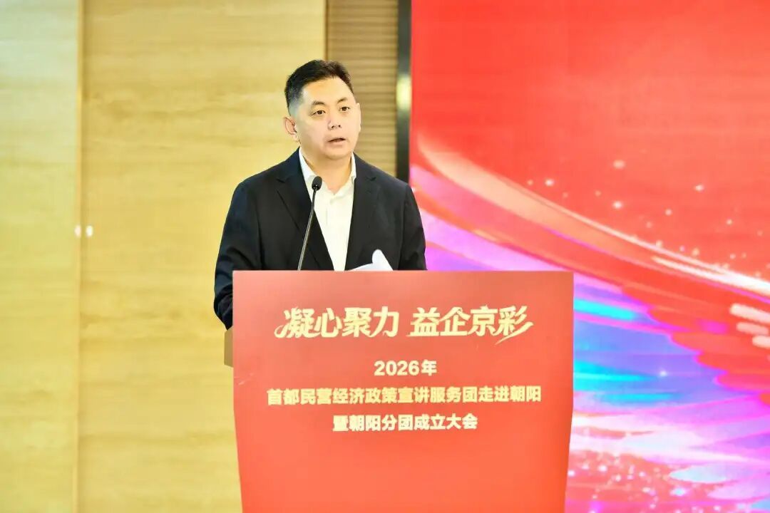 朝阳分团成立！首都民营经济迎来这波“真金白银”的支持