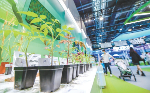 绿色双碳展区，展示了现代科技农业育种取得的成果。