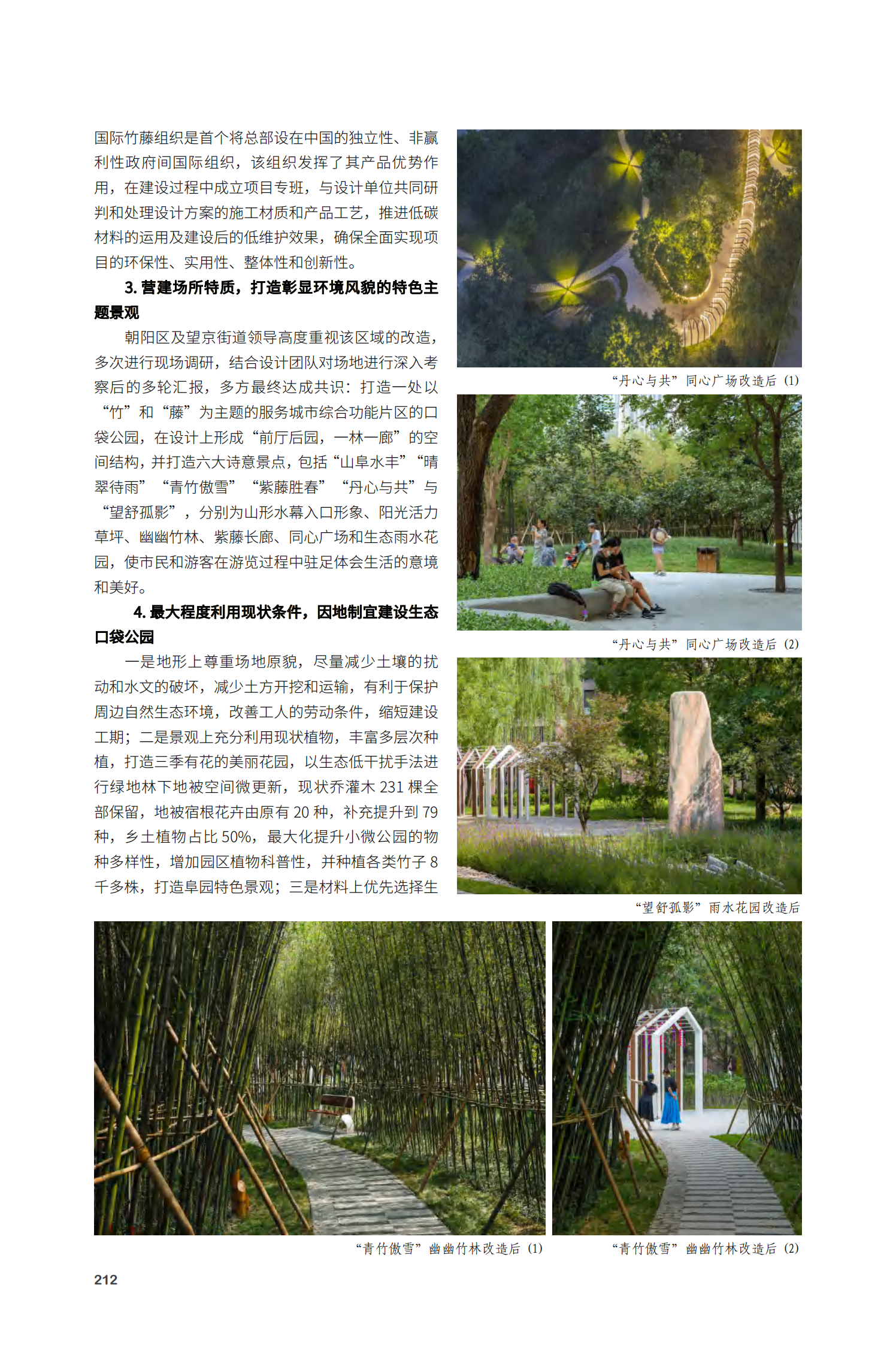 朝阳区竹·藤·诗的协奏一望京阜园景观改造提升项目