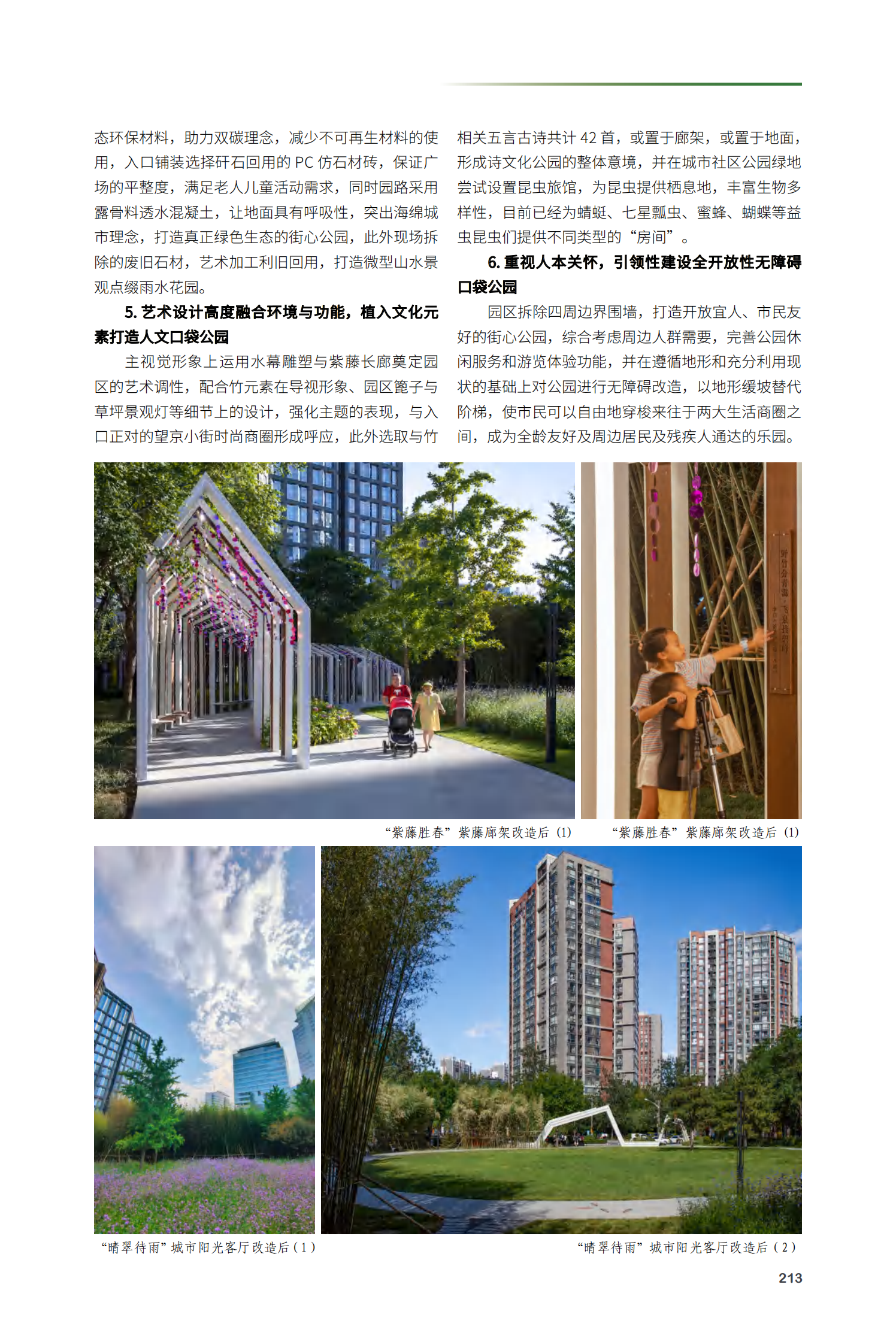 朝阳区竹·藤·诗的协奏一望京阜园景观改造提升项目