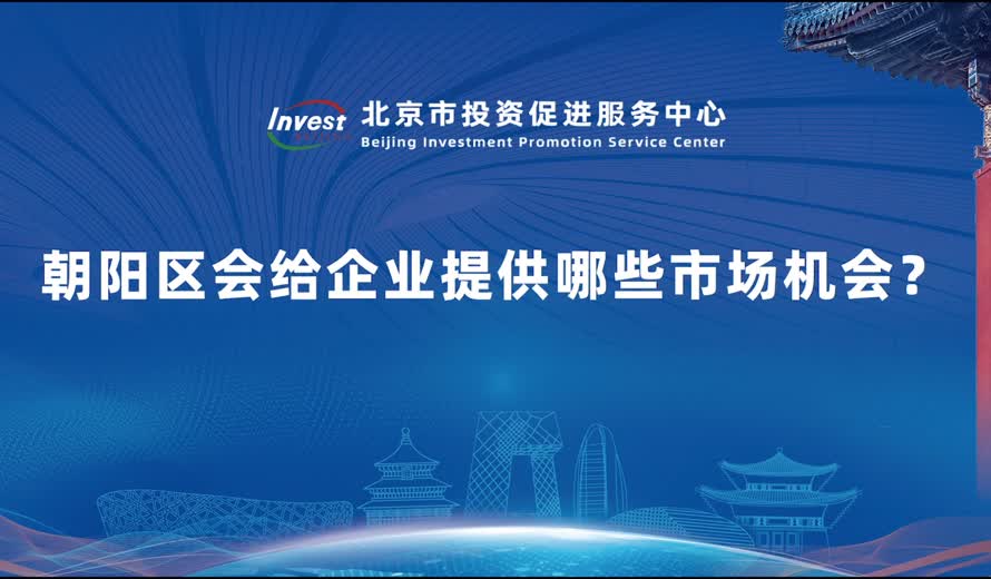 朝阳区会给企业提供哪些市场机会？