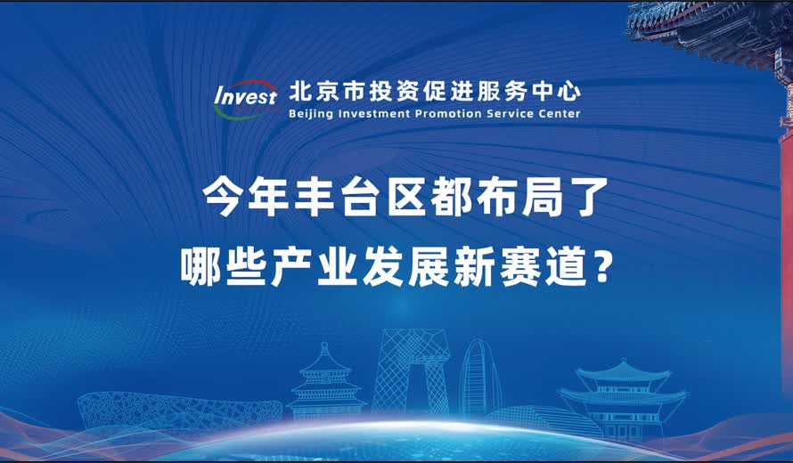 今年加快培育“新质生产力”成为高频词，我们注意到丰台在培育和发展新质生产力方面也亮点频出。请简要介绍今年丰台区都布局了哪些产业发展新赛道？
