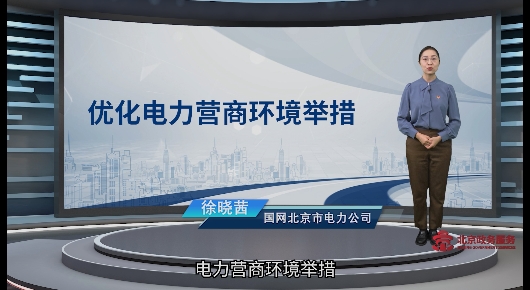 优化电力营商环境举措
