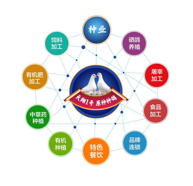 北京市专精特新企业监测月度报告（2023年11月）
