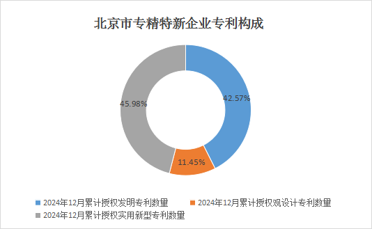 北京市专精特新企业月度发展报告（2024年12月）