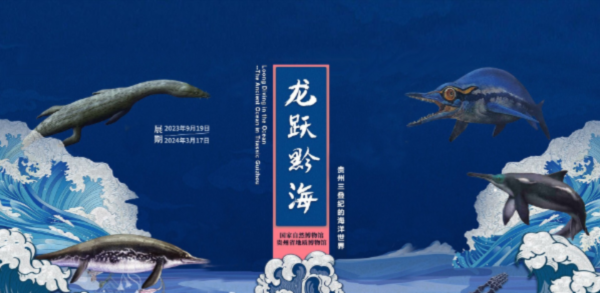 image_20240314162450A026.png