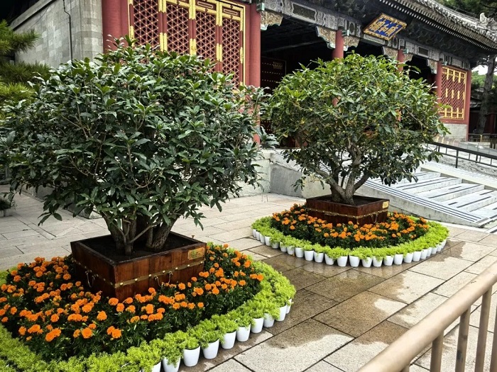 微信图片_2025-09-26_102310_653_20250926102439A008.jpg