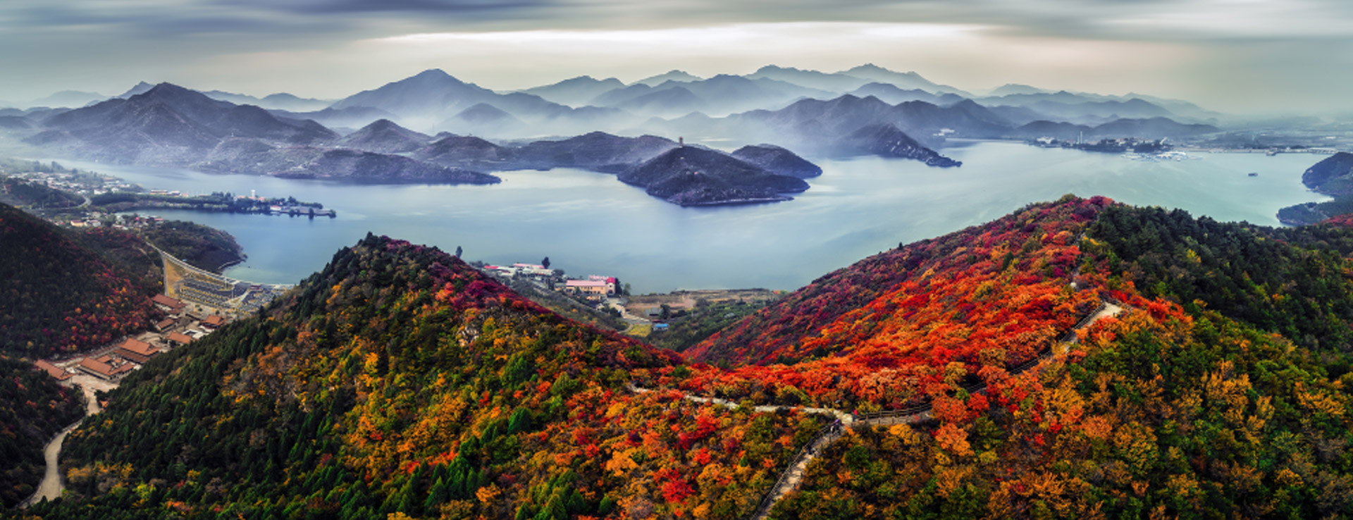 图层 61.jpg
