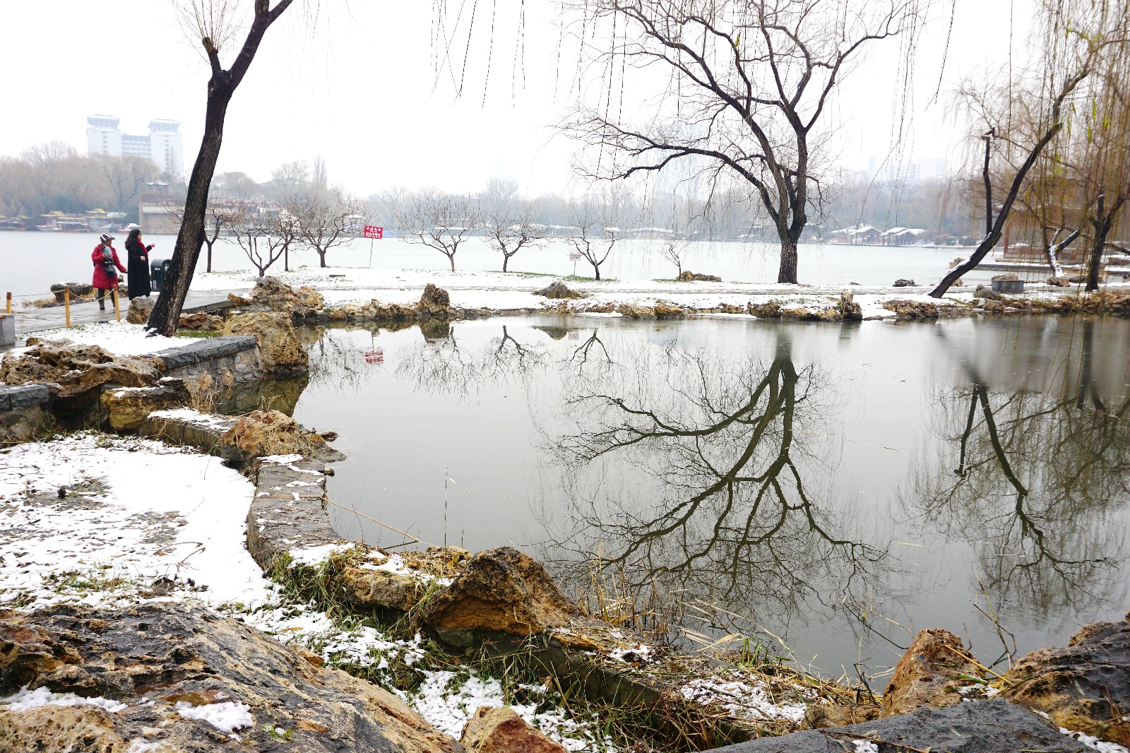 紫竹院公园 冬 (2)_20251203113402A914.jpg