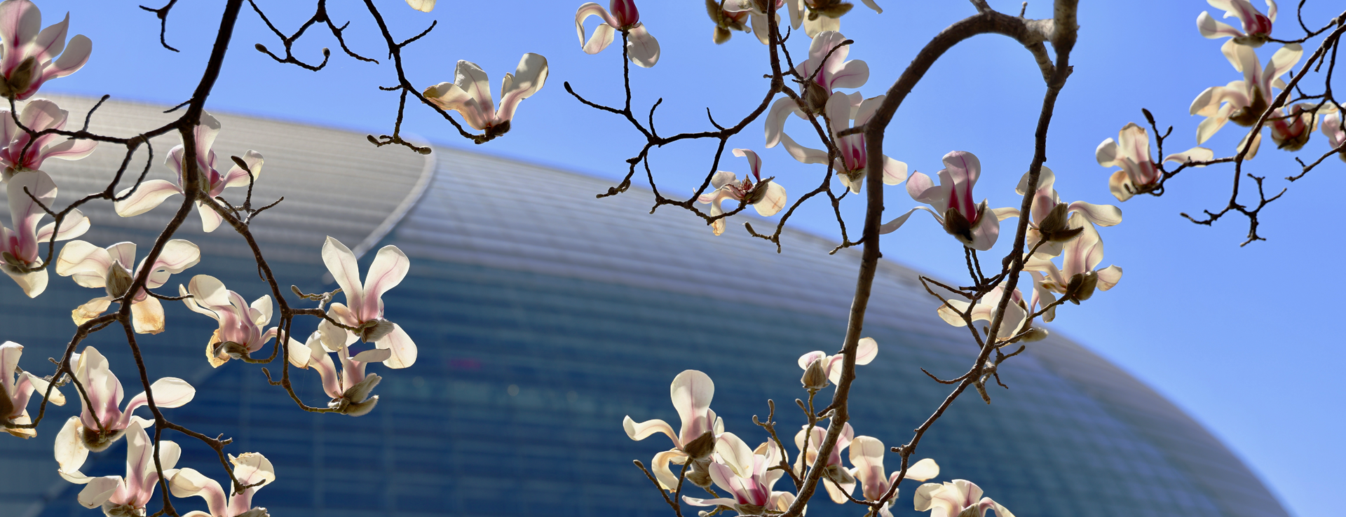 图层 69_20260402152554A186.png