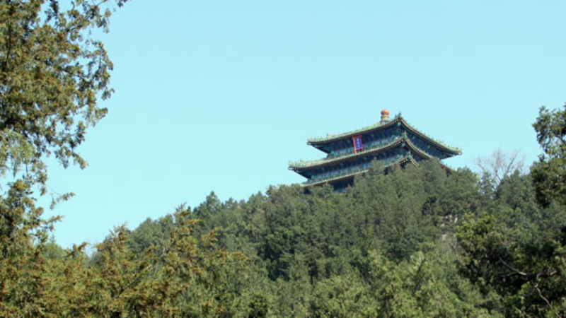 城市活动_首都之窗