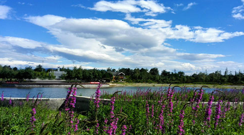 永定河休闲森林公园_20260930105248A439.png