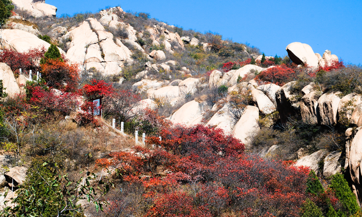 北京凤凰岭景区_20260930110855A459.png