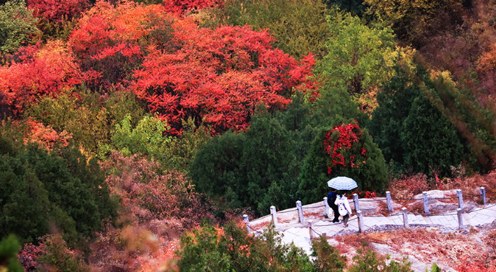 北京凤凰岭景区2_20260930111631A477.png