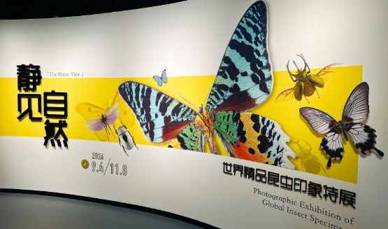 静见自然——世界精品昆虫印象特展_20261010094304A707.png