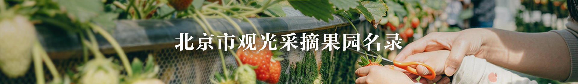 北京市观光采摘果园名录