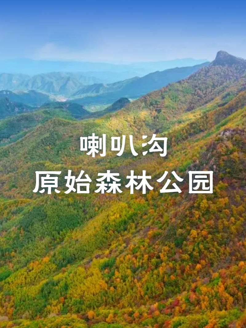 喇叭溝原始森林公園