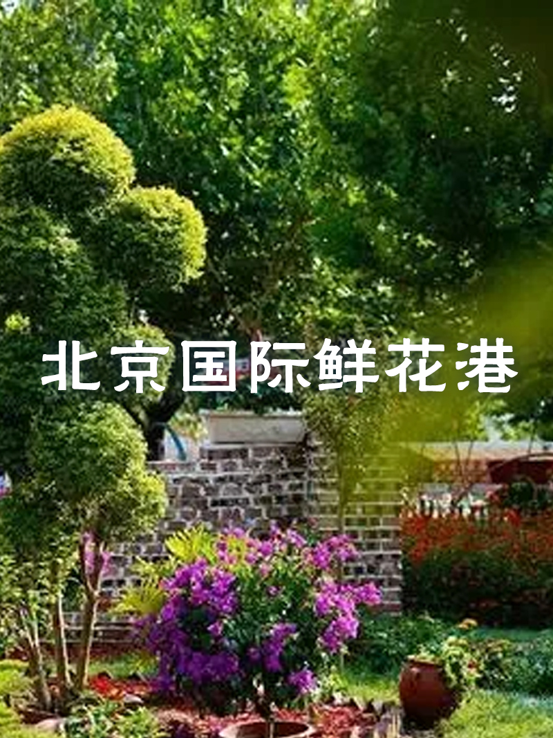 北京國際鮮花港