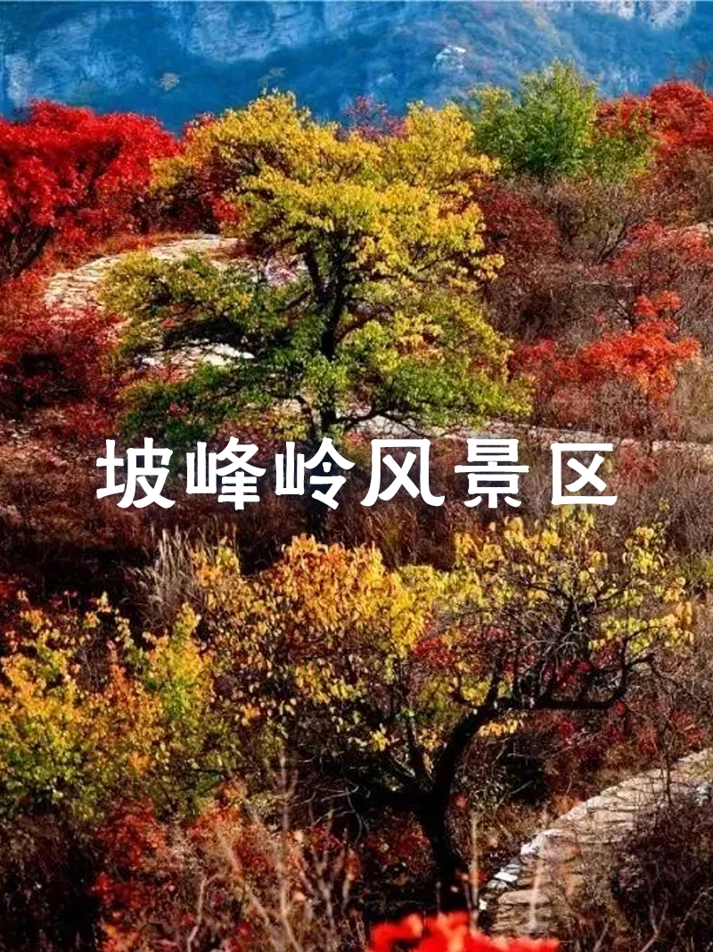 坡峰嶺風景區
