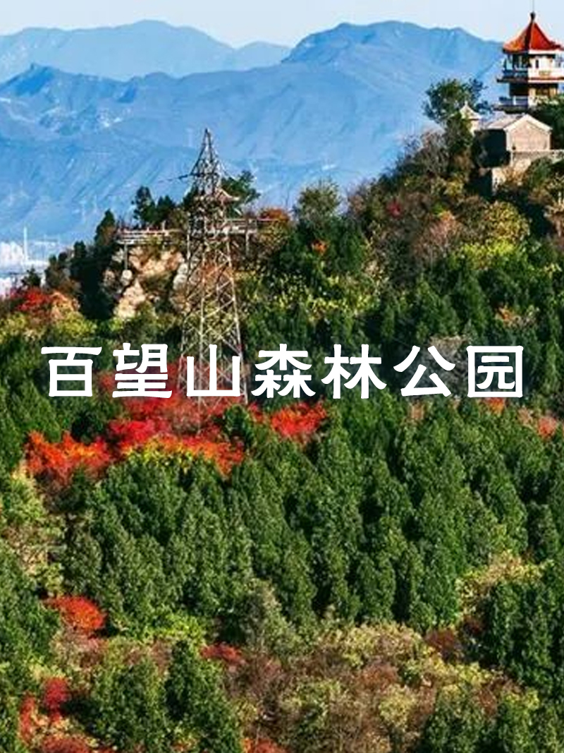 百望山森林公園