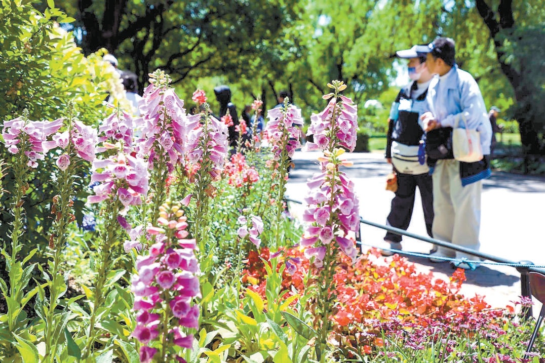 國家植物園（北園）內，游客徘徊在絢爛的夏花叢中。