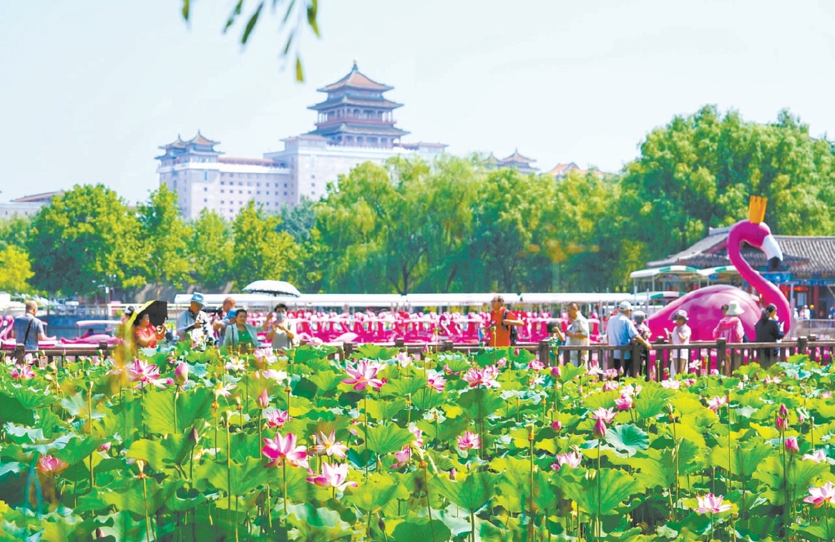 7月3日，市民在蓮花池公園賞荷消夏。