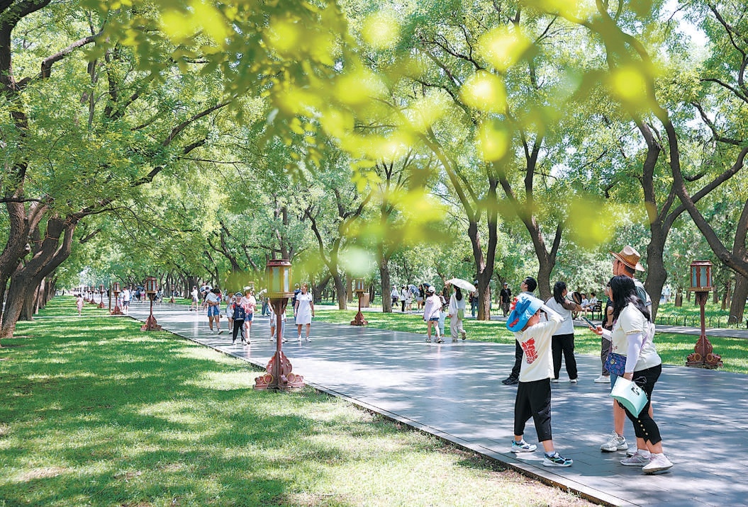 近日，天壇公園推薦了3條清涼路線。3條路線的游覽區域都途經古樹林立的樹蔭下或是有游廊覆蓋的遮陰處。