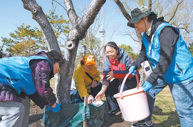 3月12日，玉淵潭公園開展植樹主題活動，志願者們利用新型園林科技産品“水圍脖”為櫻花樹施肥澆水。