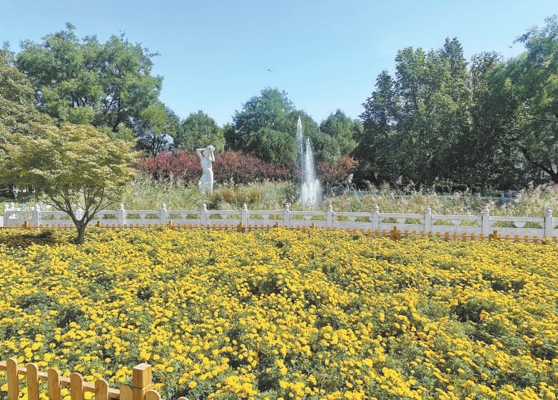 豐臺花園內景。