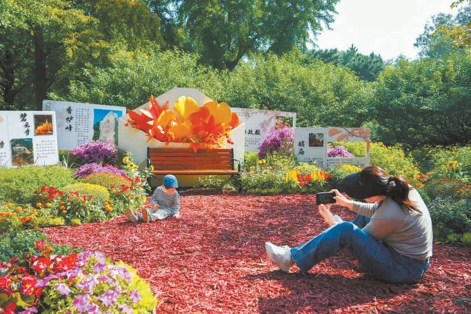 香山公園“金風信箋”主題花境吸引游客拍照。