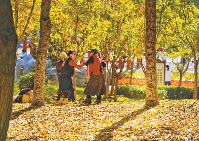 立冬過後，北京西海子公園並未褪去秋的斑斕，“金色地毯”成為市民打卡熱點。