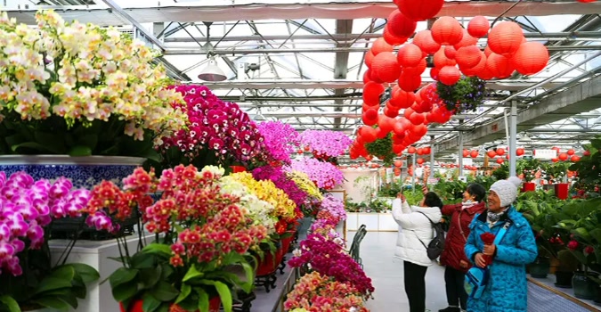 馬年春節怎麼玩？北京豐臺給您準備了6條特色線路