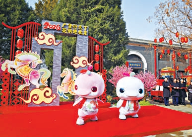 昨天，來自廣州的“大灣雞”亮相北海公園。