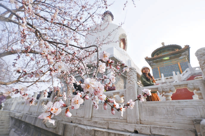 週末迎今春首個賞花熱潮