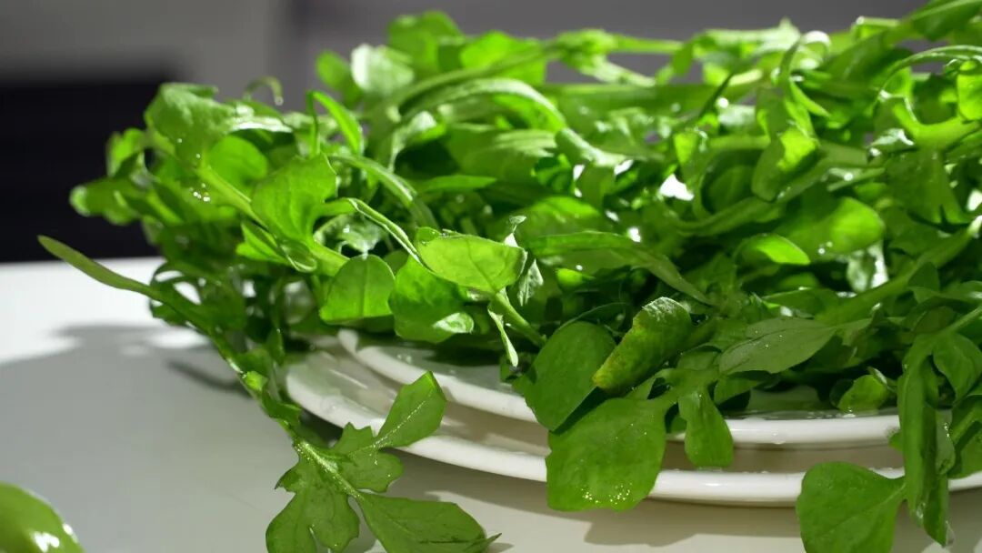 超推薦！這種菜是春天野菜的代表，味道鮮，營養好，做法也簡單~