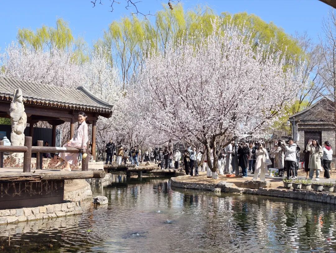 嘗春鮮、走花路、穿新衣……被東城這波“春日經濟”硬控了！