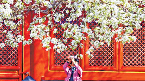 新建項目 新建項目