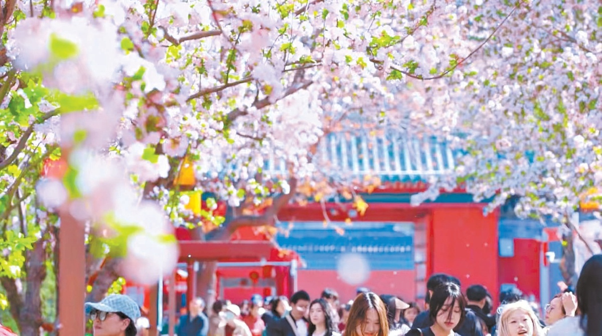 北海公園“海棠路”。