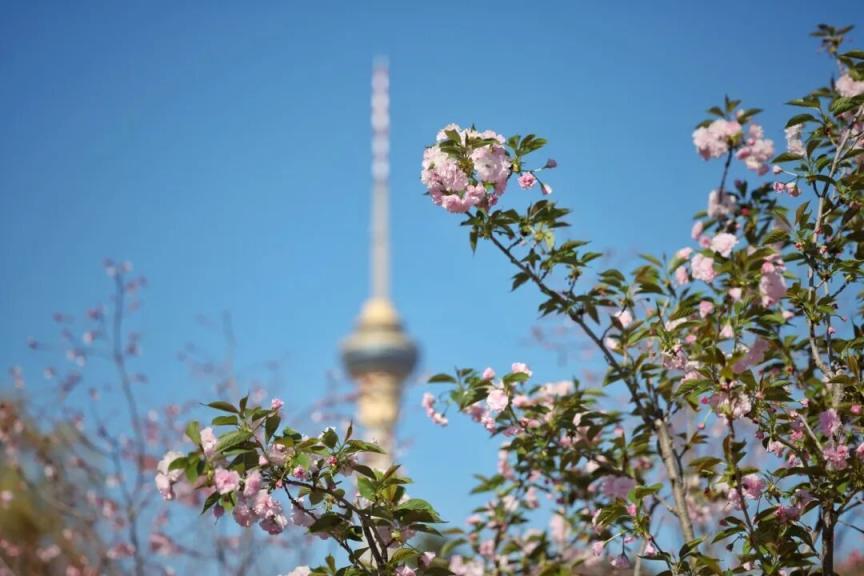 踏青賞花購好物，北京本月將推出400余項重點促消費活動
