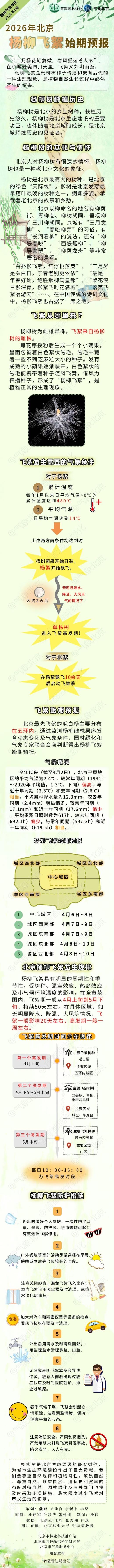 北京發佈2026年首個楊柳飛絮預報
