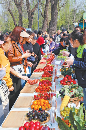 市民遊客在市集攤位前駐足品嘗。