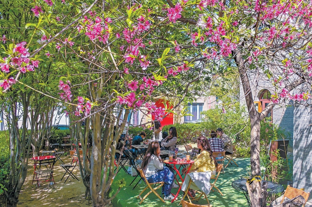 繁花伴，咖啡香。前門商圈咖啡館“賞花+休閒”的創意深受市民喜愛。