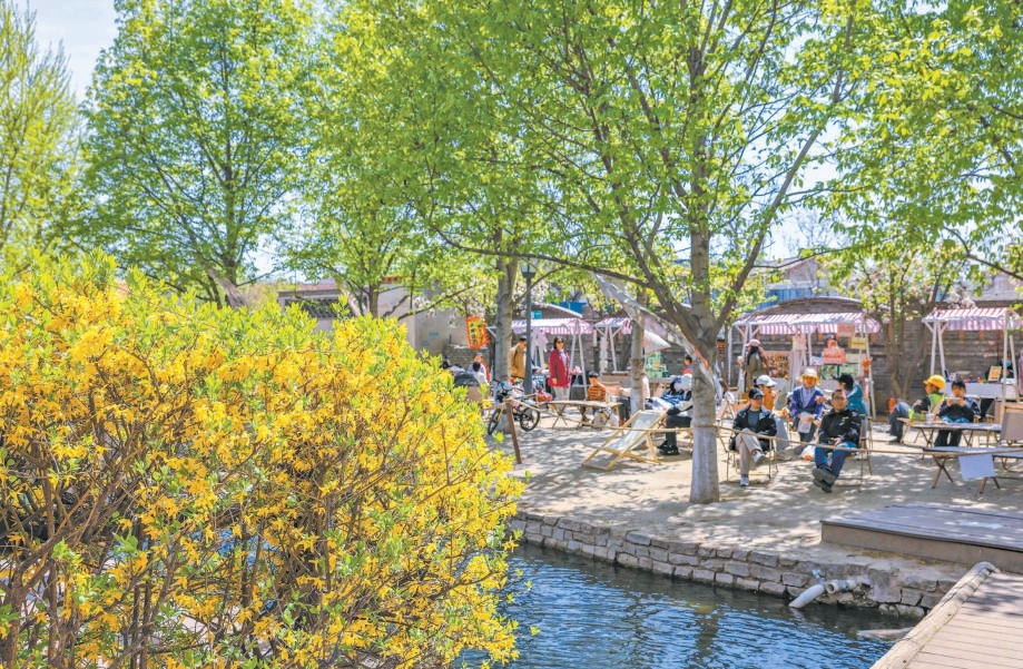 前門三里河、法源寺片區等熱門賞花地 熱鬧中涌動著消費暖流 春花經濟從鬧市“流”進衚同深處 前門三里河、法源寺片區等熱門賞花地 熱鬧中涌動著消費暖流 春花經濟從鬧市“流”進衚同深處