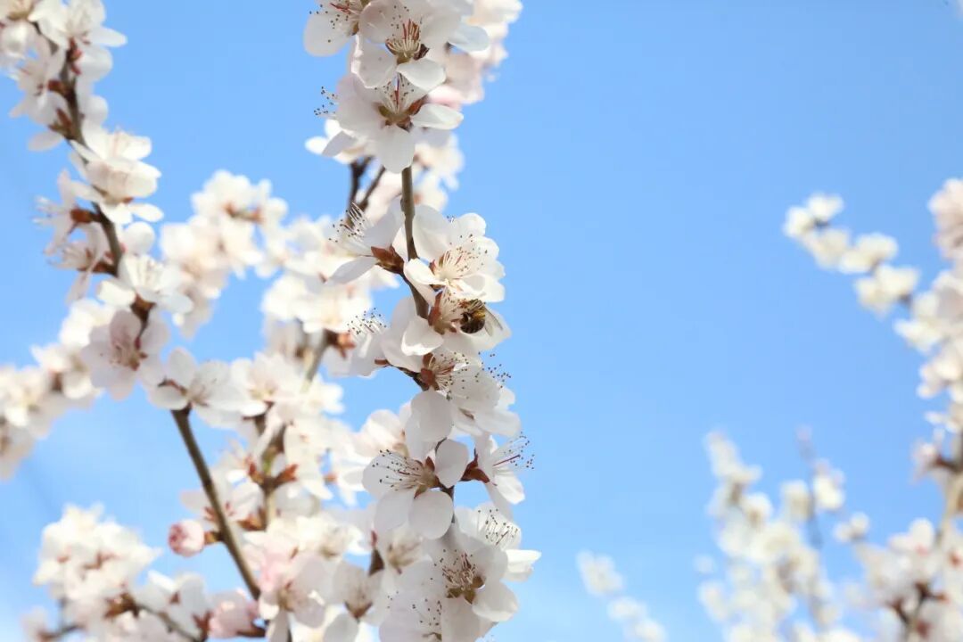 免費！全齡友好！海淀“家門口”這一體育公園，太好玩了