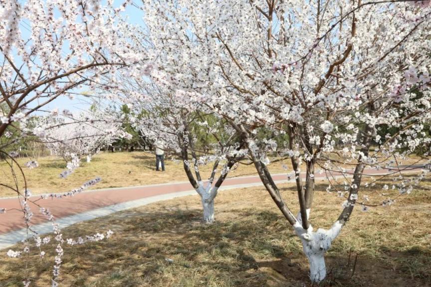 免費！全齡友好！海淀“家門口”這一體育公園，太好玩了