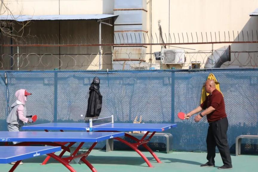 免費！全齡友好！海淀“家門口”這一體育公園，太好玩了