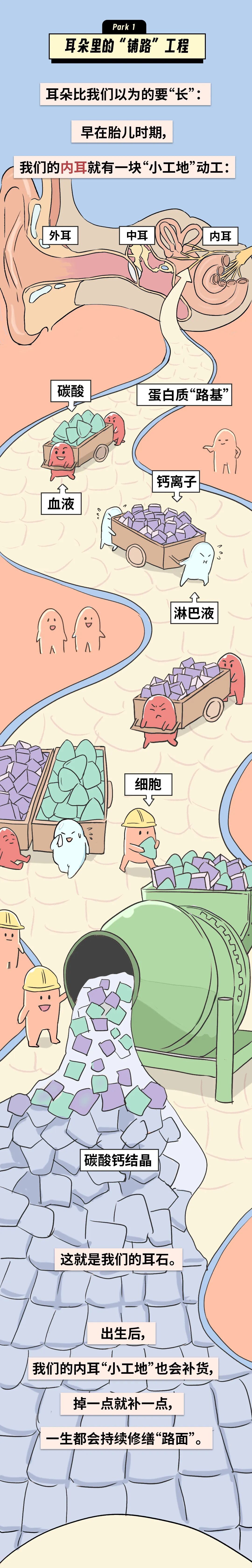 讓人噁心嘔吐、睜眼就暈？這種病越來越多，符合這4點要警惕——