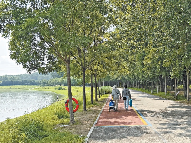大運河北京段濱水步道景色優美。