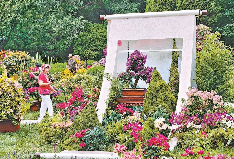 天壇公園葉子花展與市民見面。